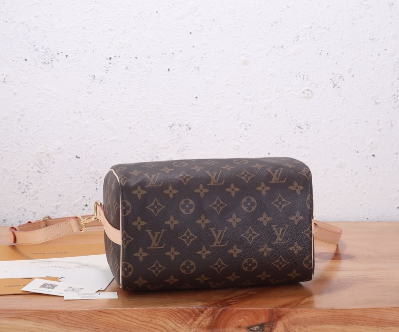 LV Speedy Bags